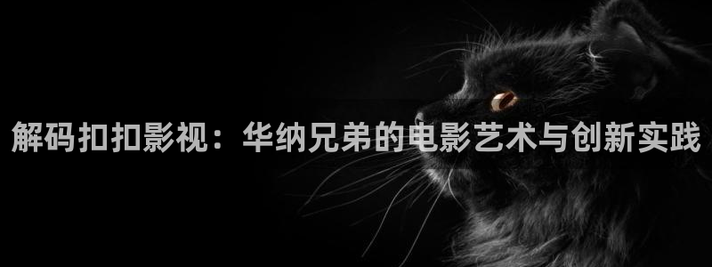 好好看影院：解码扣扣影视：华纳兄弟的电影艺术与创新实践