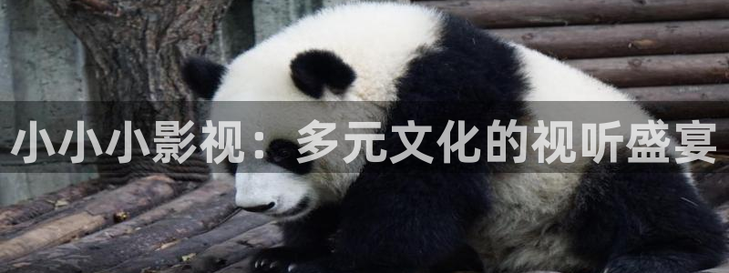 好好看影院：小小小影视：多元文化的视听盛宴
