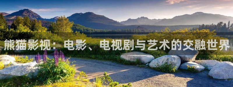 好好看影院：熊猫影视：电影、电视剧与艺术的交融世界