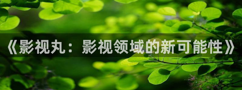 《四库影视》电视剧在线观看-好看影院：《影视丸：影视领域的新可能性》